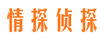 平南市侦探调查公司